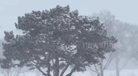 Snowfall transforms the landscape in Northbrook, Illinois, USA