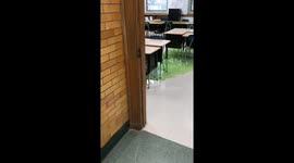 Classroom AC upgrade goes viral after students find foul odour and green slime instead