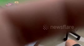 Brit among 10 tourists arrested at 'illegal poker den' on Thai island