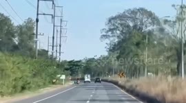 Wildlife trafficker arrested with 63 monkeys stuffed in boxes in Thailand