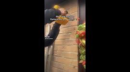 DIY Christmas Garland