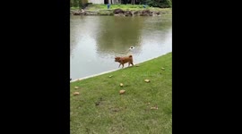 4.An Unplanned Dip with Friends