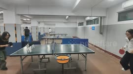 Feline Ping Pong Assistant