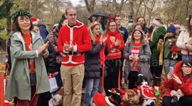 Adorable rescue dogs take part in Christmas jumper walk along the Mall