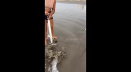 Sharing Sandworm Catch With a Little Heron