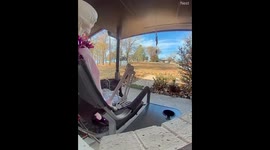 Package Thief Caught Red-Pawed