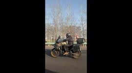 Unexpected Passenger on the Highway