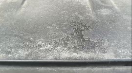 Chickens were among the animals that survived the mud-soaked flash floods in West Sumatra.