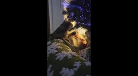 The Fibre Optic Feast: Bonnie's Naughty Christmas Adventure!