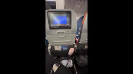 Elegant Dog Dressed for the Plane