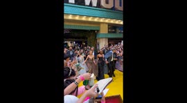 Fan Disrupts Wicked: For Good Movie Premiere