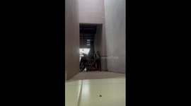 Dog Gate Doesn't Stop Dachshund