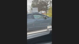 Squirrel Escaping Inside of Car