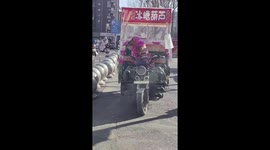 Dog dressed in aunt-style outfit sitting on tricycle in Liaoning, China
