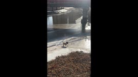 Puppy struggles to climb icy slope in Liaoning, China