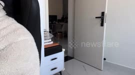 Cat obediently closes door on command in Zhejiang, China