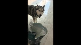 From Feast to Farewell