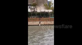 狗狗落水命悬一线 热心小哥不顾上班迟到仗义救援