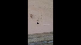 Stranded teachers swim across swollen river to get home during Tropical Cyclone Koto