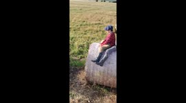 Funny moment siblings tumble off moving hay bale in Uruguay