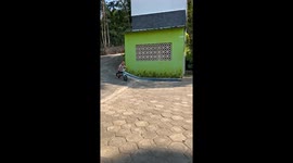 Toddler takes a tumble while riding balance bike downhill in Indonesia