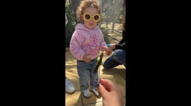 Adorable toddler with flower sunglasses amazed by butterfly encounter in Illinois
