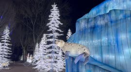 Mesmerising footage shows UK's biggest lantern display illuminated for festive season