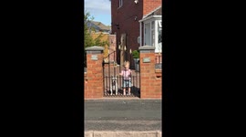 Liverpool mum in stitches after arriving to find toddler sporting crazy spiky hairstyle