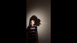 Creative 'singing shadow' illusion performs classic hit in Vietnam