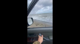 Russian fisherman finds massive Kamchatka crab washed up on Sakhalin beach