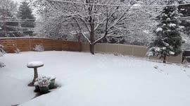 US: Snowstorm Blankets Denver Metro and Front Range 3