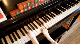 You Won't Believe This! Dog Sings & Plays Piano for Christmas - Buddy Mercury!