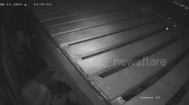 Colombians arrested over burglaries targetting luxury homes in Bangkok