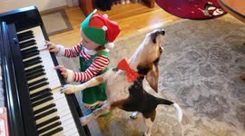 The Cutest Christmas Concert Ever? Buddy Mercury & Lil Sis's Piano Duet!