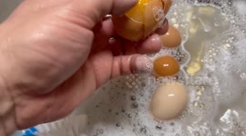 When temperatures drop in Minnesota below zero you need to be collecting your eggs frequently or this will happen