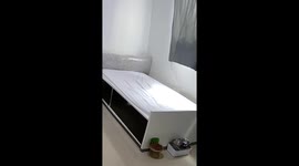 Cat tumbles from window-mounted bed