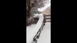 Spain: Snow, Fog and Freezing Temps Hit Sierra de Madrid