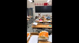 Hungry deer munches on students' test papers inside classroom