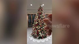 Man builds giant aviary in the middle of his house - and wakes up with 20 songbirds