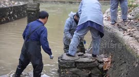 China: East China nature reserve moves Yangtze alligators indoors for winter
