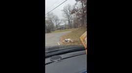 Balloon Left With Dead Deer