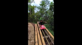 Roller Coaster in the Forest