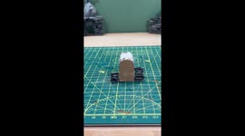 How to build a self-sustaining Terrarium