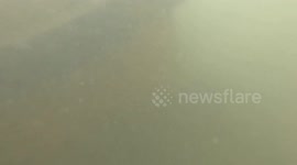 US: US Soldier Uses Chainsaw Under Water At Ford Island