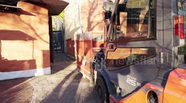 Switzerland: Young Male Lion Jadoo Joins Zurich Pride To Help Save Asiatic Species