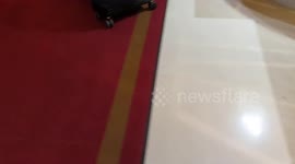 UK: Activists Dump Manure At Ritz In ‘Inequality Is Shit’ Christmas Protest