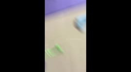 Playful Greyhound eagerly waits for battle top toy in Anhui, China