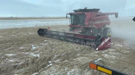 Wheat harvest in frigid conditions near Poplar Point in Manitoba, Canada
