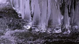 Unveiling Nature's Art: Slow-Motion of Rare and Beautiful 