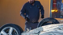 US, Los Angeles: Harbor Gateway Palm Tree Uprooted Following Crash